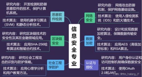 信息安全专业毕设选题指导手册 热门研究方向全覆盖